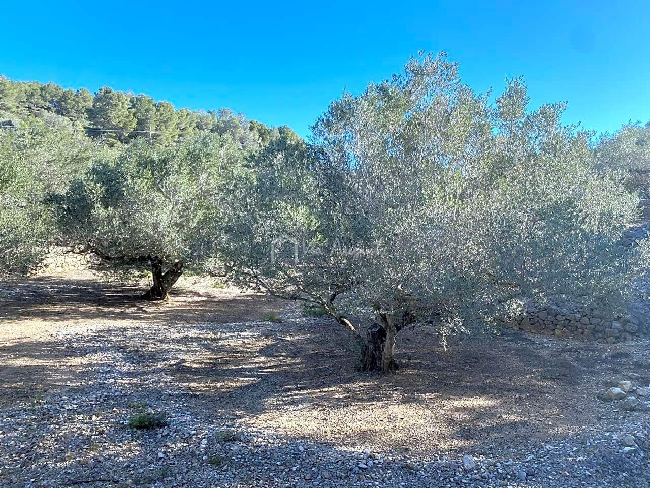 Terre non Aménagée à vendre à El Perello - 65 000 € (Ref: 8119255)