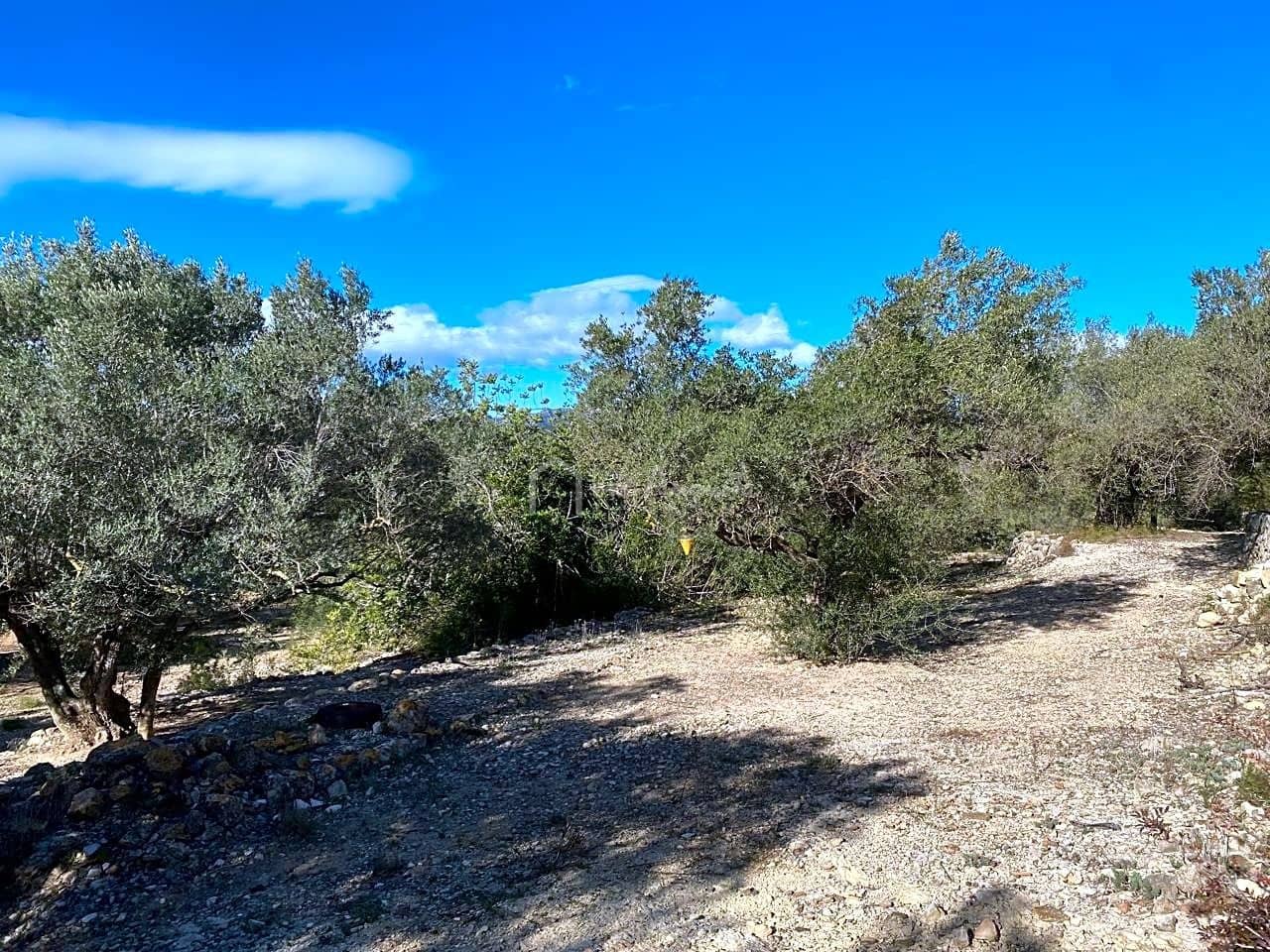 Terre non Aménagée à vendre à El Perello - 65 000 € (Ref: 8119255)