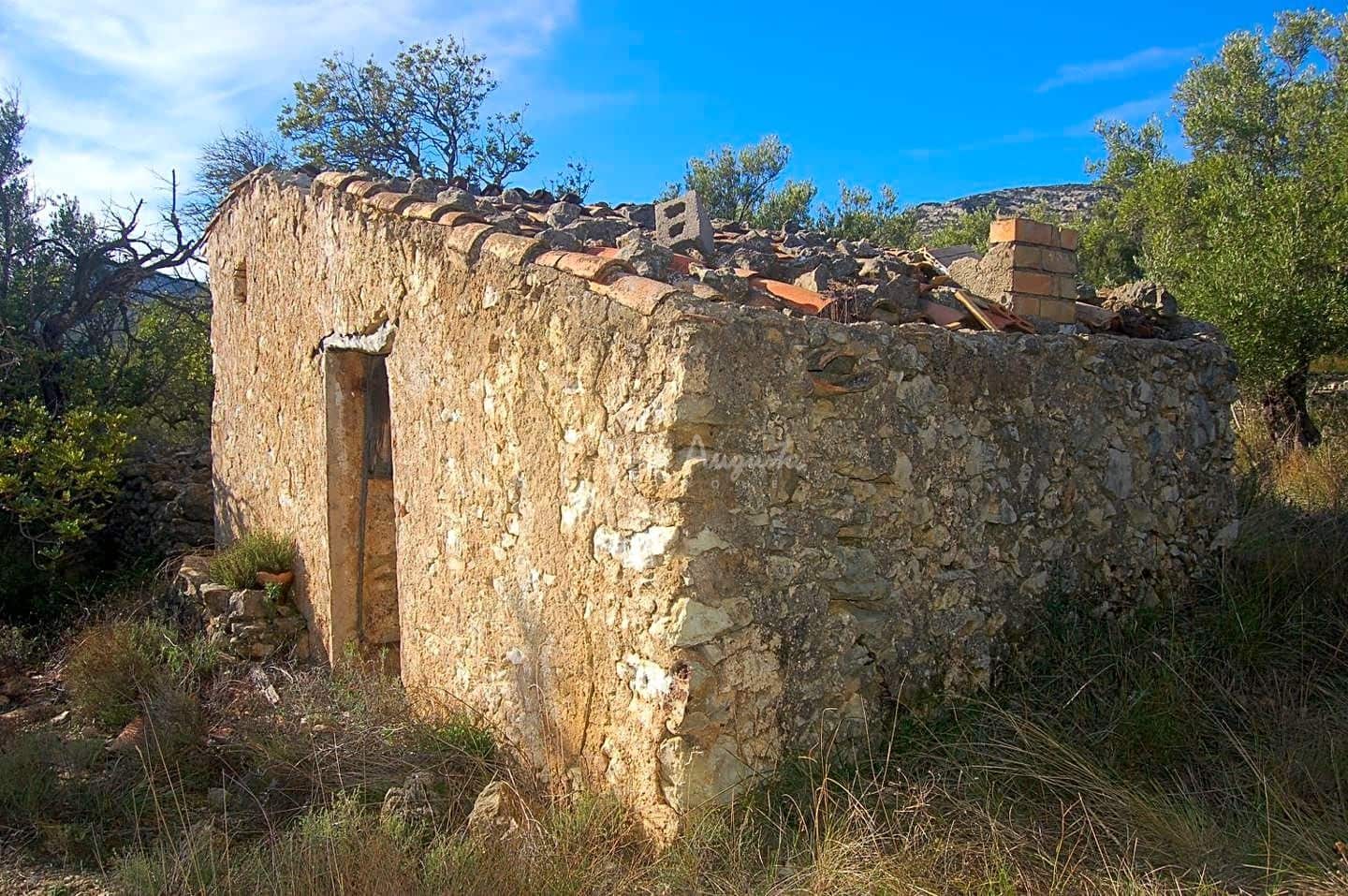 Grunde uden byggetilladelser til salg i Mas de Barberans - € 70.000 (Ref: 8167446)