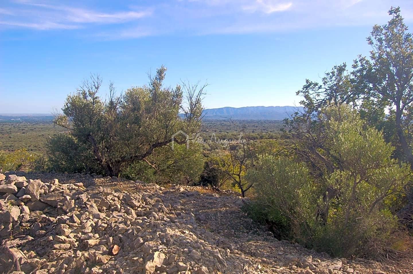 Grunde uden byggetilladelser til salg i Mas de Barberans - € 70.000 (Ref: 8167446)