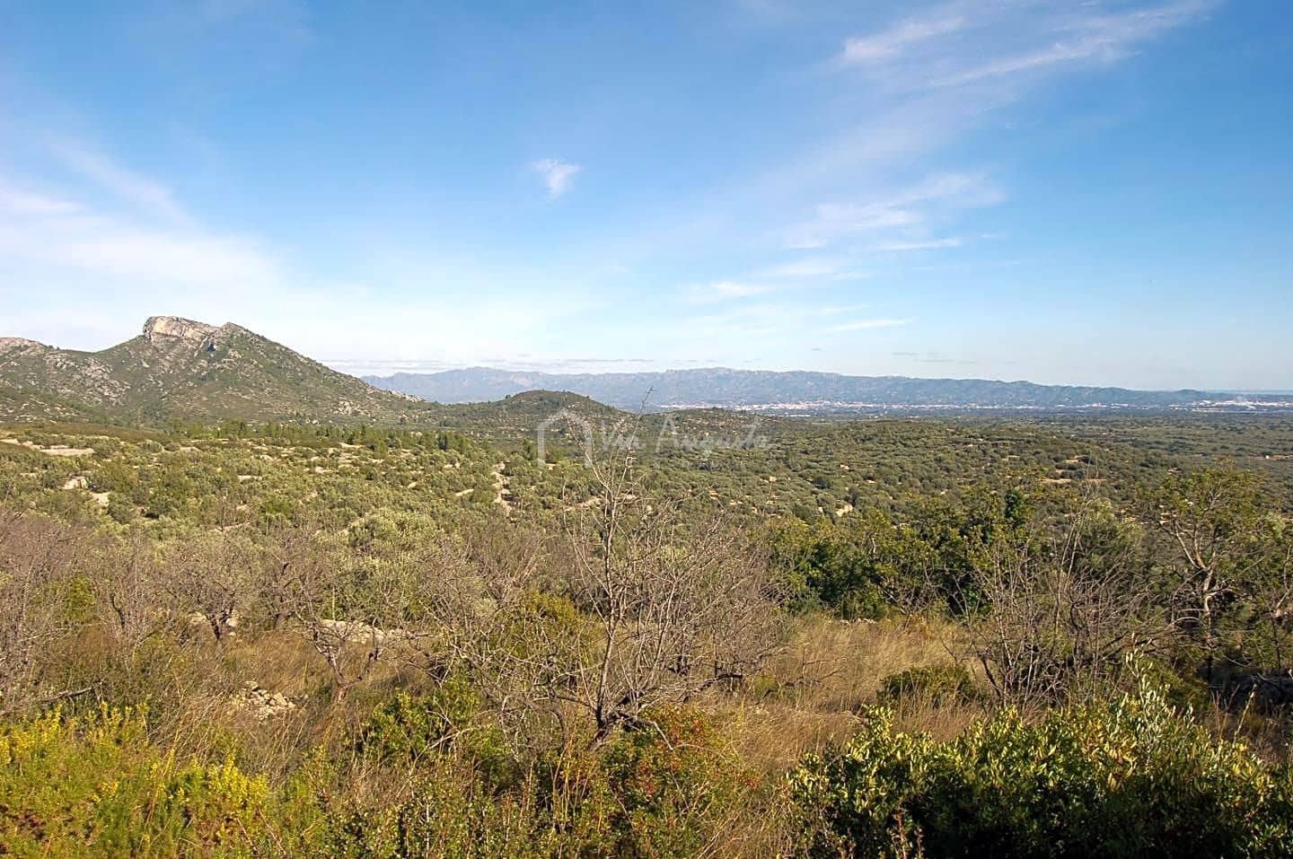 Grunde uden byggetilladelser til salg i Mas de Barberans - € 70.000 (Ref: 8167446)