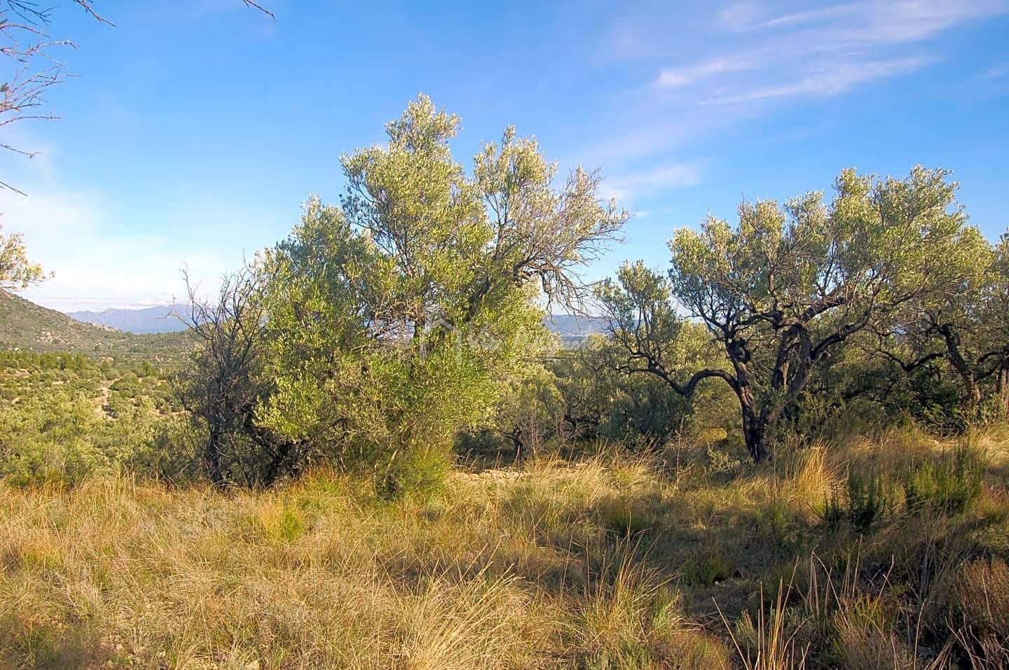Grunde uden byggetilladelser til salg i Mas de Barberans - € 70.000 (Ref: 8167446)