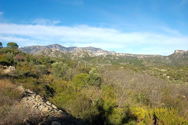 Grunde uden byggetilladelser til salg i Mas de Barberans - € 70.000 (Ref: 8167446)