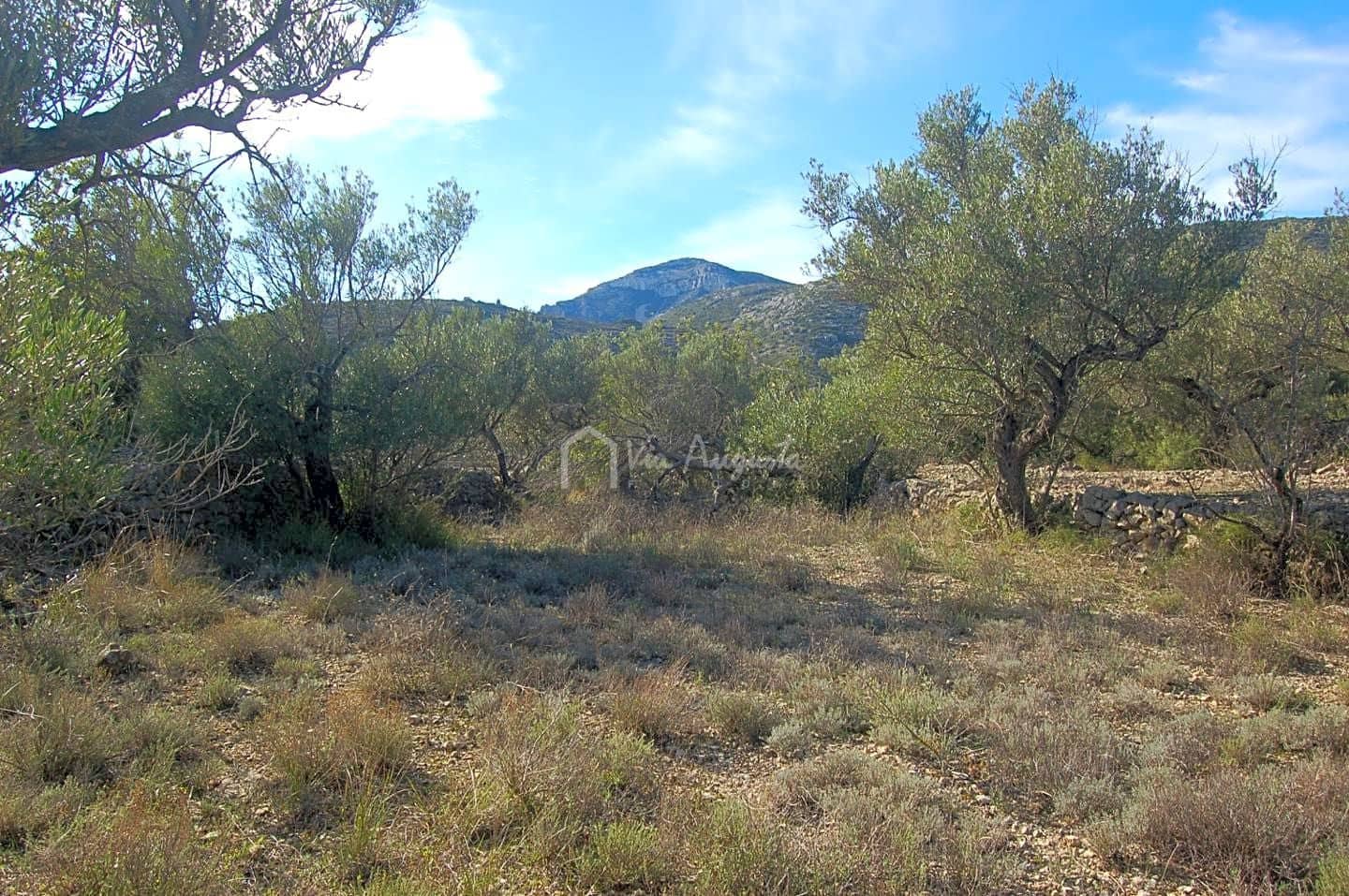 Grunde uden byggetilladelser til salg i Mas de Barberans - € 70.000 (Ref: 8167446)