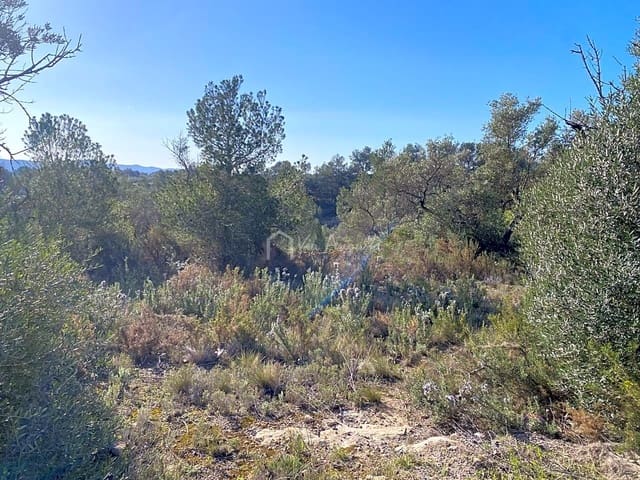 Undeveloped Land for sale in Rasquera - € 17,000 (Ref: 8167470)