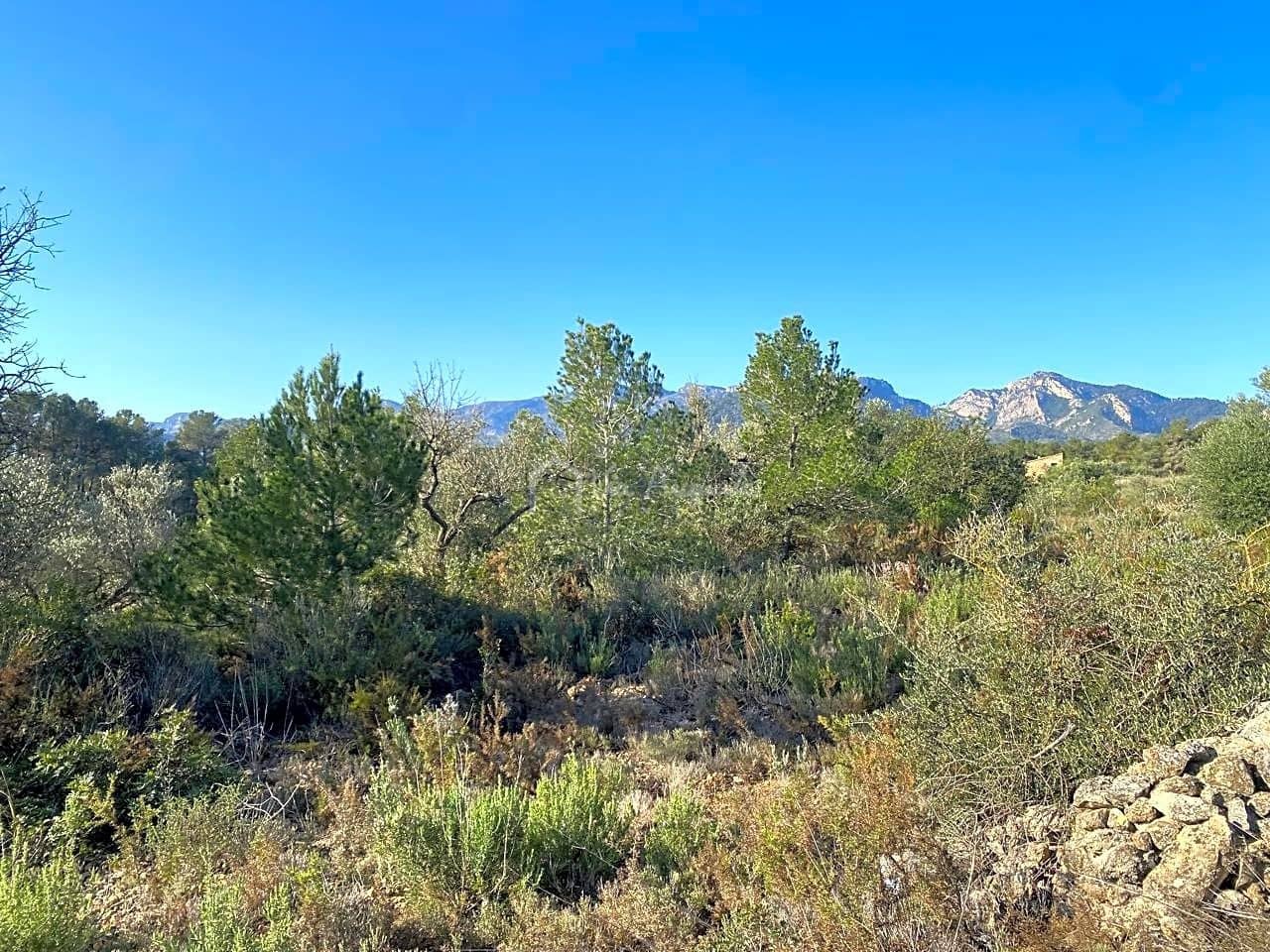 Grunde uden byggetilladelser til salg i Rasquera - € 17.000 (Ref: 8167470)