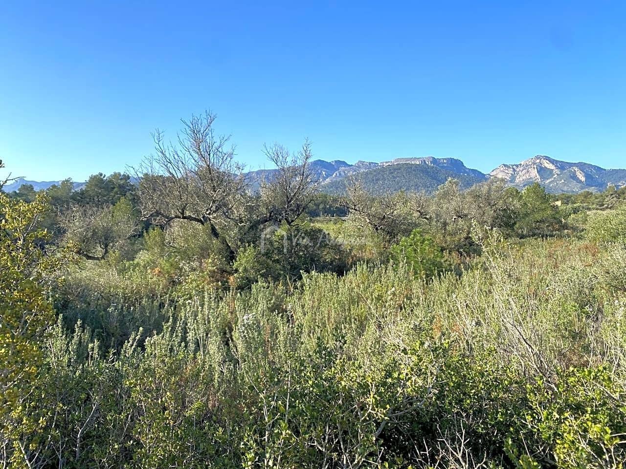 Grunde uden byggetilladelser til salg i Rasquera - € 17.000 (Ref: 8167470)