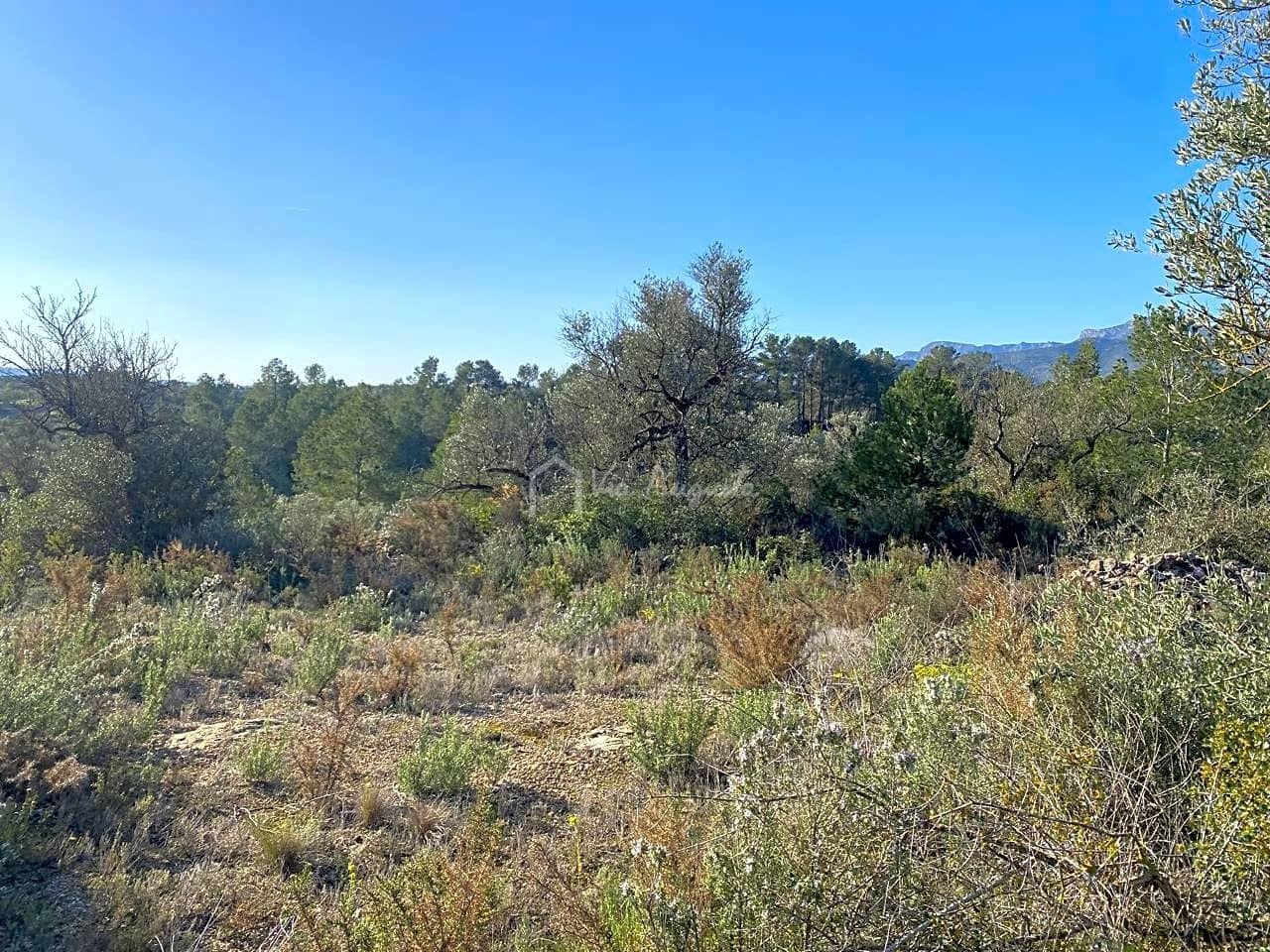 Grunde uden byggetilladelser til salg i Rasquera - € 17.000 (Ref: 8167470)