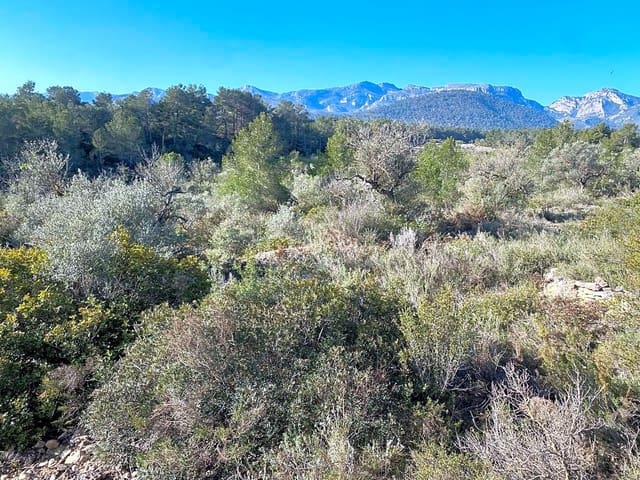 Undeveloped Land for sale in Rasquera - € 17,000 (Ref: 8167470)