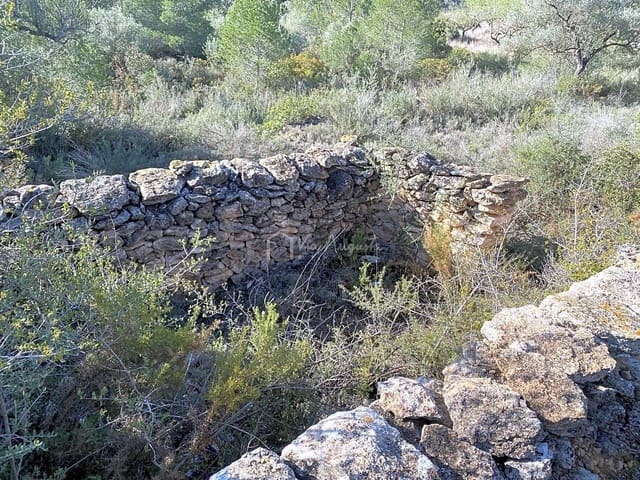 Undeveloped Land for sale in Rasquera - € 17,000 (Ref: 8167470)