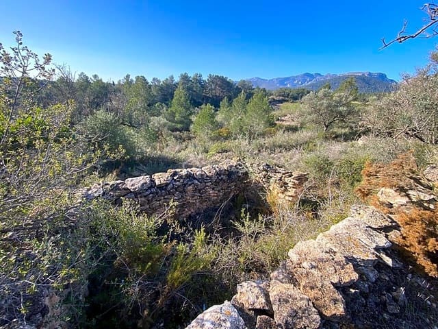 Undeveloped Land for sale in Rasquera - € 17,000 (Ref: 8167470)