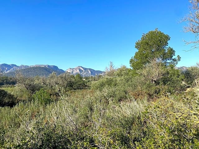 Undeveloped Land for sale in Rasquera - € 17,000 (Ref: 8167470)