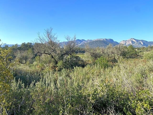 Undeveloped Land for sale in Rasquera - € 17,000 (Ref: 8167470)