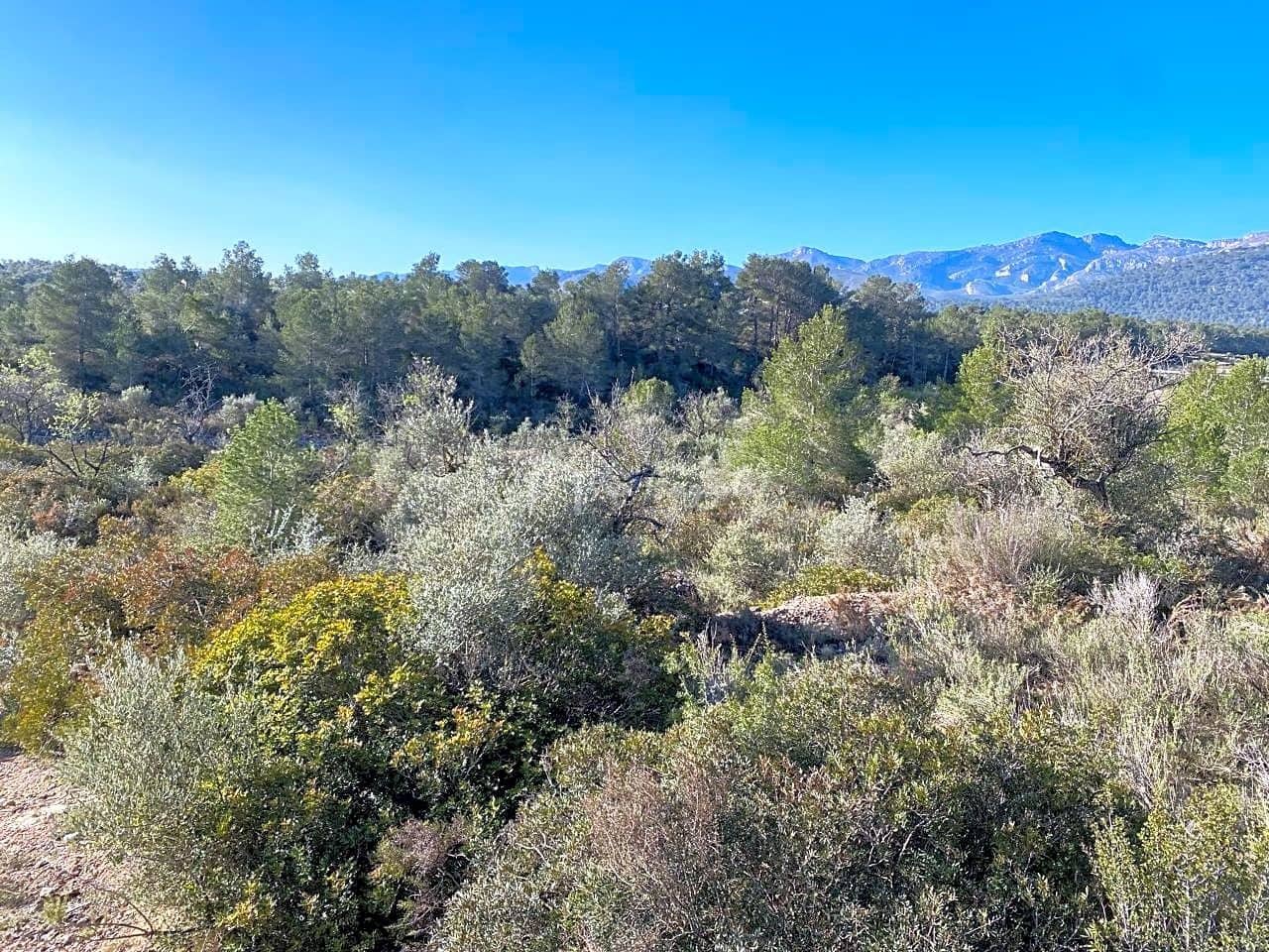 Grunde uden byggetilladelser til salg i Rasquera - € 17.000 (Ref: 8167470)