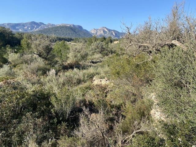 Ubebygd land til salgs i Rasquera - € 17 000 (Ref: 8167470)