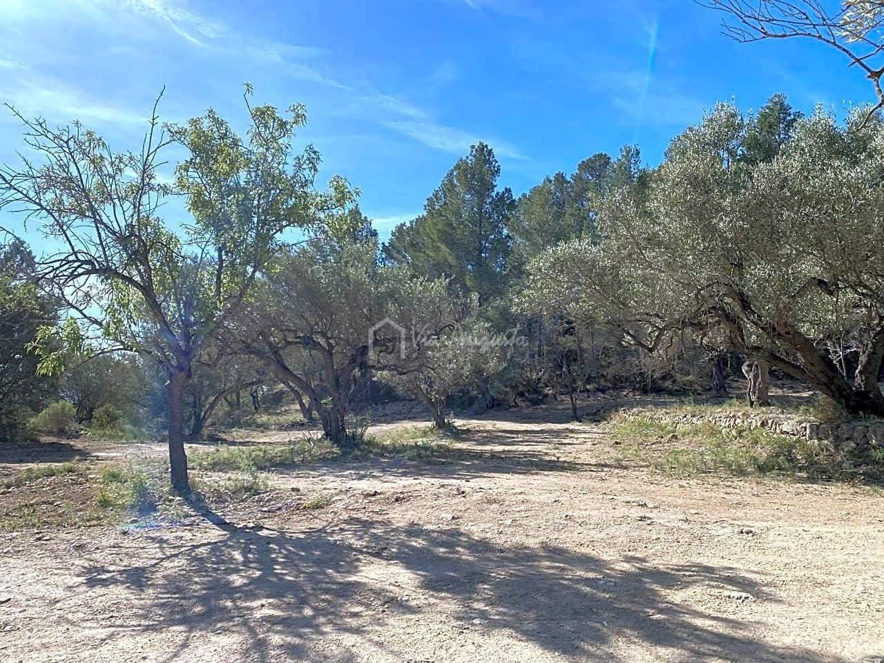 Grunde uden byggetilladelser til salg i Xerta - € 48.000 (Ref: 8207772)