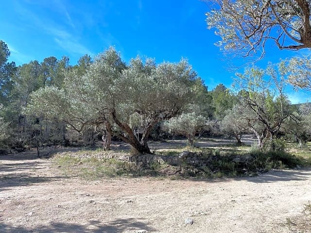 Undeveloped Land for sale in Xerta - € 48,000 (Ref: 8207772)