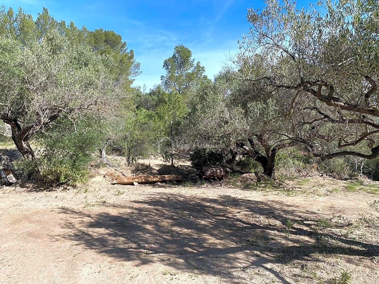 Grunde uden byggetilladelser til salg i Xerta - € 48.000 (Ref: 8207772)