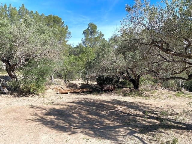 Undeveloped Land for sale in Xerta - € 48,000 (Ref: 8207772)