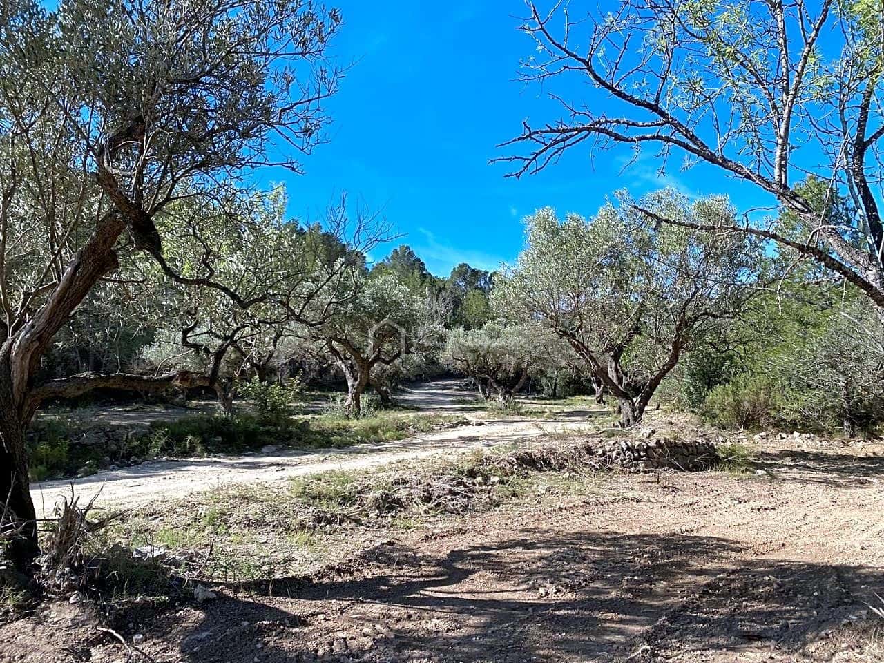 Grunde uden byggetilladelser til salg i Xerta - € 48.000 (Ref: 8207772)