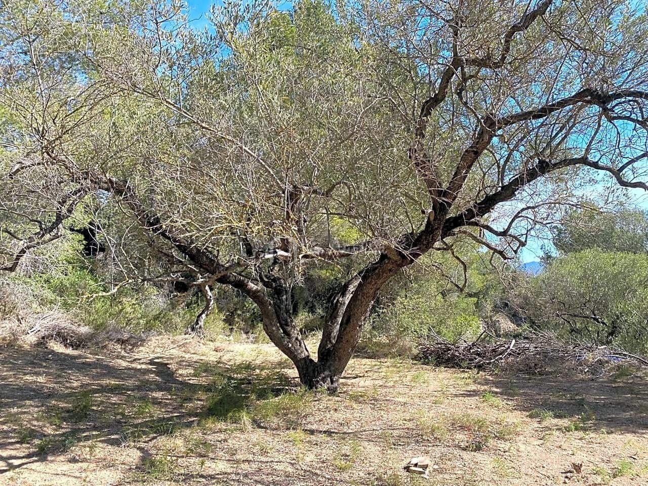 Grunde uden byggetilladelser til salg i Xerta - € 48.000 (Ref: 8207772)