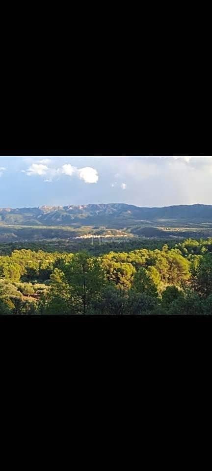 Grunde uden byggetilladelser til salg i Xerta - € 48.000 (Ref: 8207772)