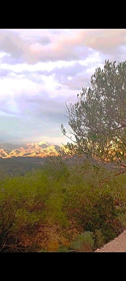 Grunde uden byggetilladelser til salg i Xerta - € 48.000 (Ref: 8207772)