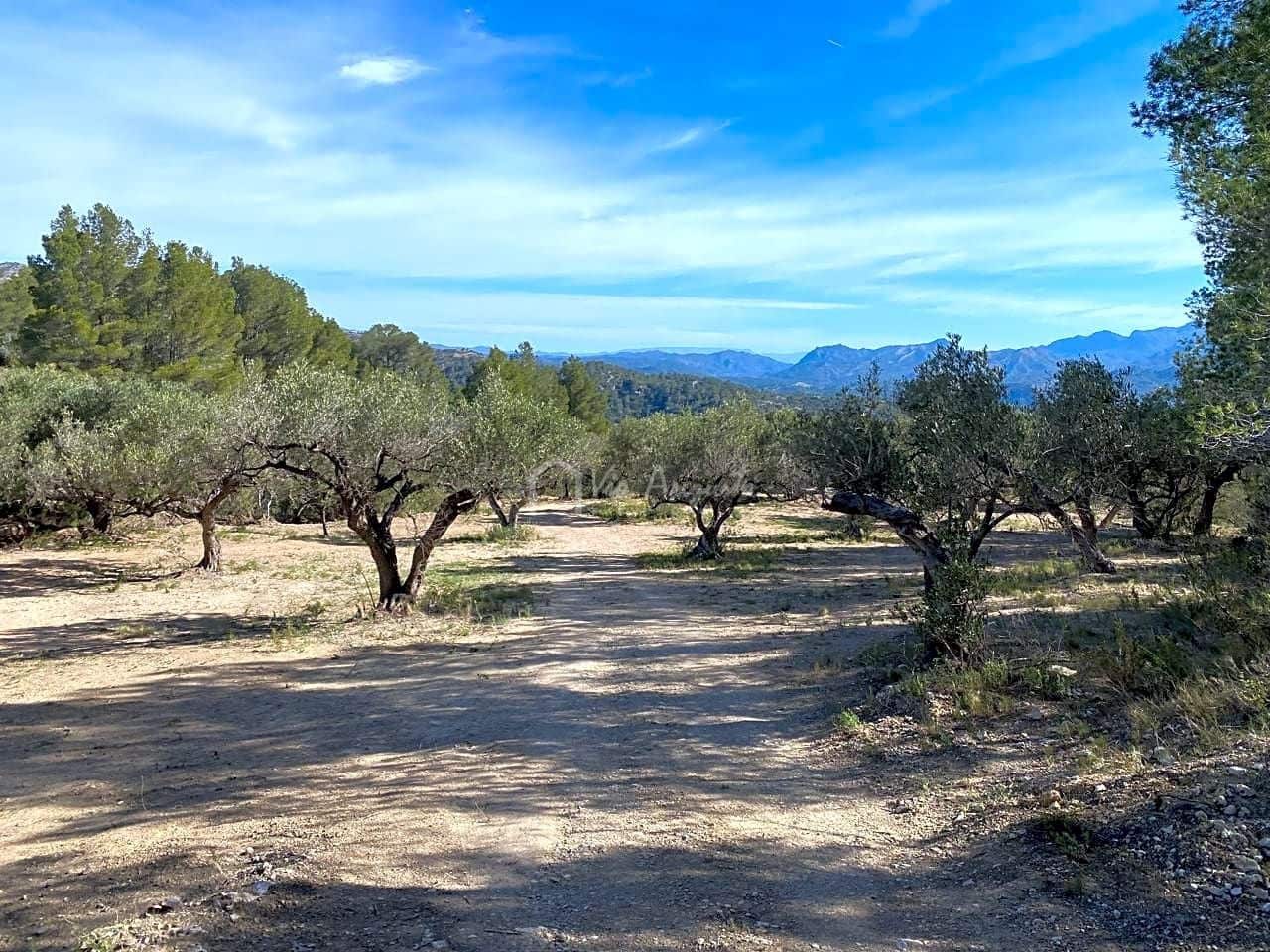 Grunde uden byggetilladelser til salg i Xerta - € 48.000 (Ref: 8207772)