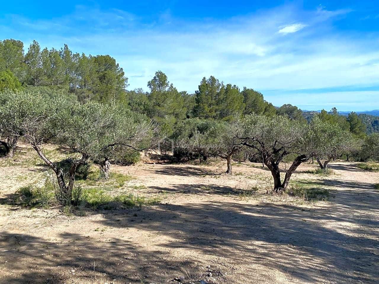 Grunde uden byggetilladelser til salg i Xerta - € 48.000 (Ref: 8207772)