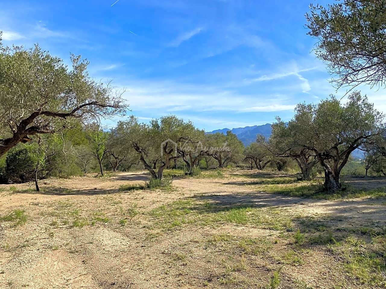 Grunde uden byggetilladelser til salg i Xerta - € 48.000 (Ref: 8207772)