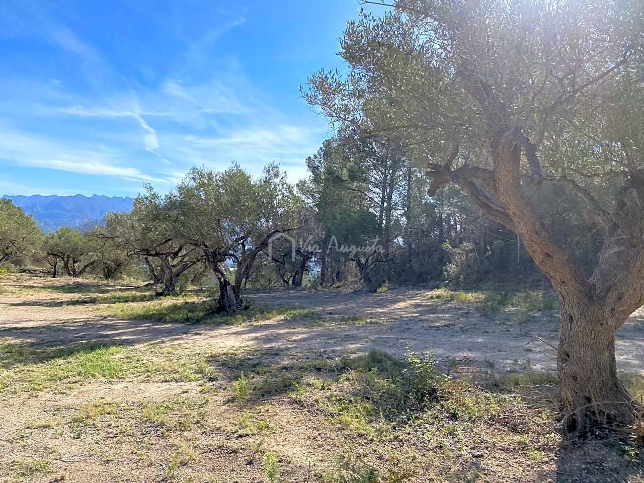 Grunde uden byggetilladelser til salg i Xerta - € 48.000 (Ref: 8207772)