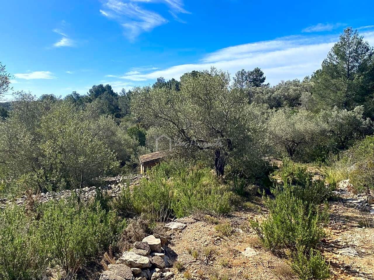 Grunde uden byggetilladelser til salg i El Perello - € 47.000 (Ref: 8311130)