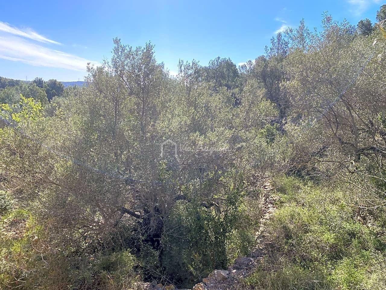 Grunde uden byggetilladelser til salg i El Perello - € 47.000 (Ref: 8311130)