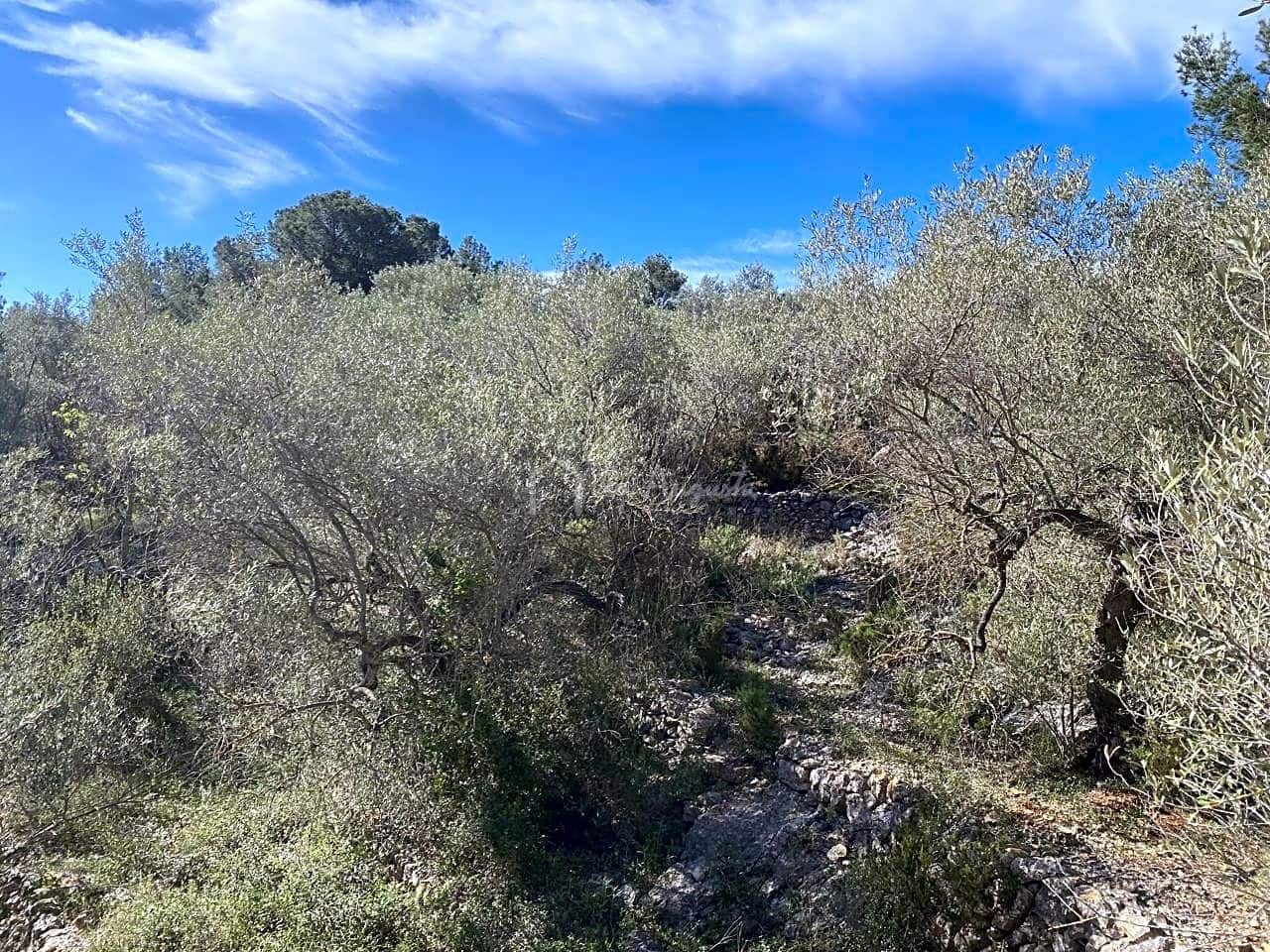 Grunde uden byggetilladelser til salg i El Perello - € 47.000 (Ref: 8311130)