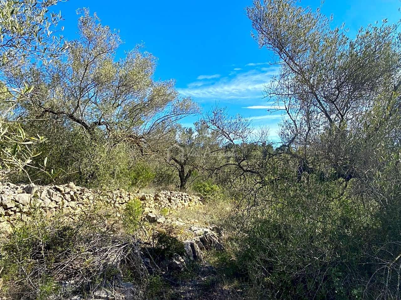 Grunde uden byggetilladelser til salg i El Perello - € 47.000 (Ref: 8311130)