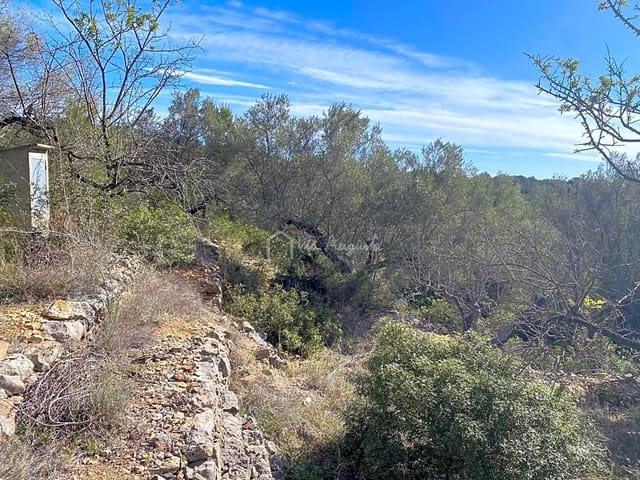 Rakentamaton maa myytävänä paikassa El Perelló - 47 000 € (Ref: 8311130)