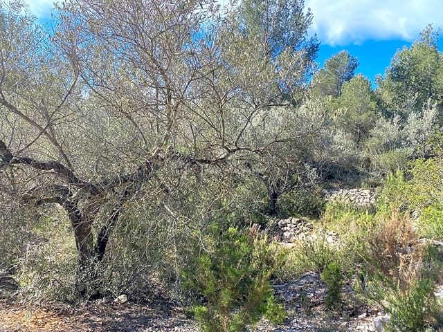 Rakentamaton maa myytävänä paikassa El Perelló - 47 000 € (Ref: 8311130)