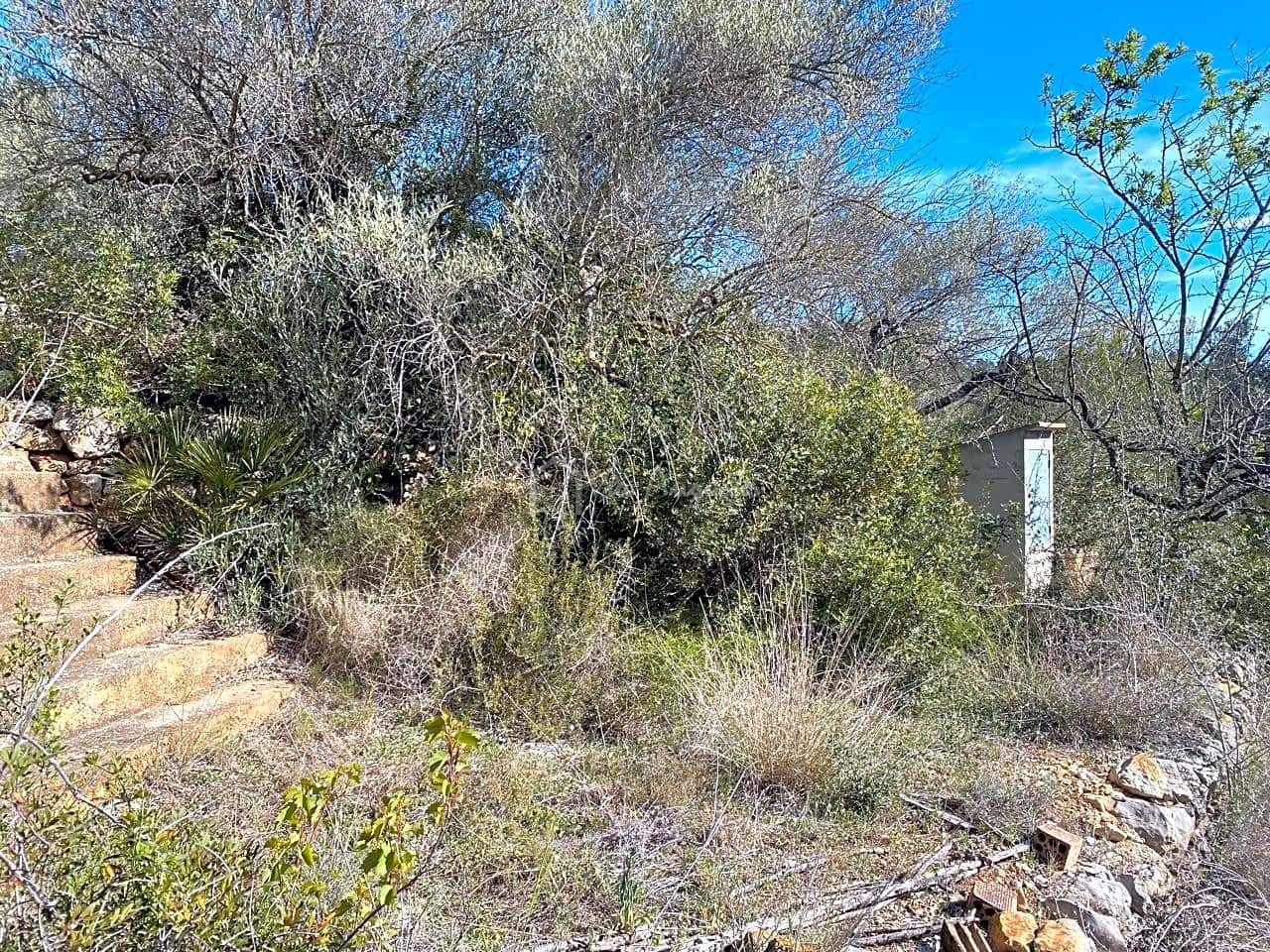 Grunde uden byggetilladelser til salg i El Perello - € 47.000 (Ref: 8311130)