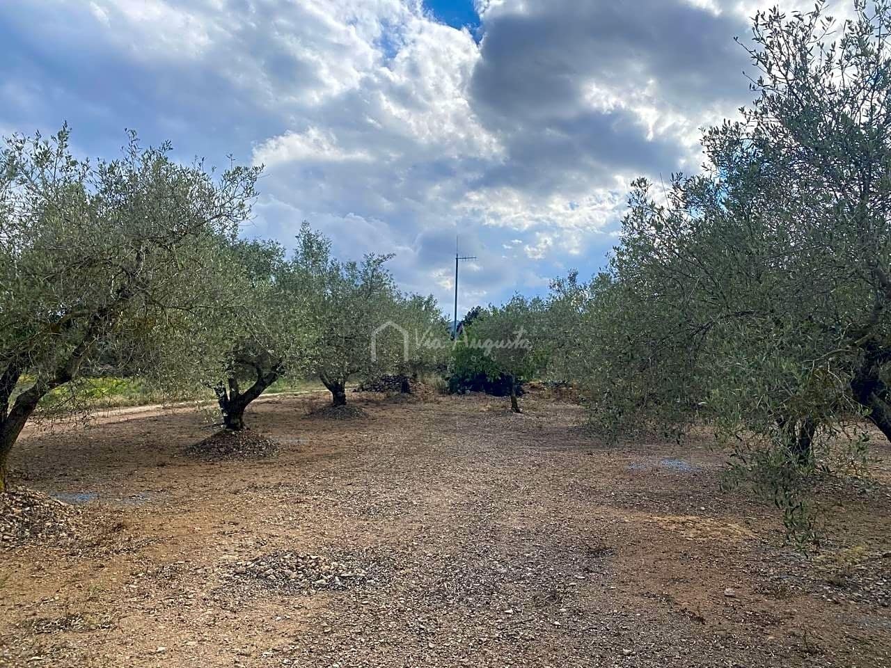 3 soveværelse Finca/Landehus til salg i El Perello med garage - € 195.000 (Ref: 8312709)