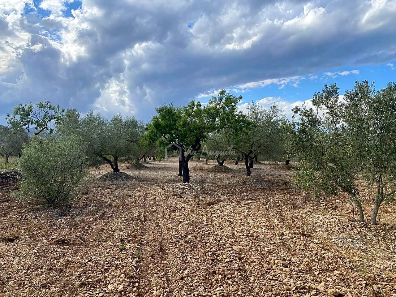 3 soveværelse Finca/Landehus til salg i El Perello med garage - € 195.000 (Ref: 8312709)