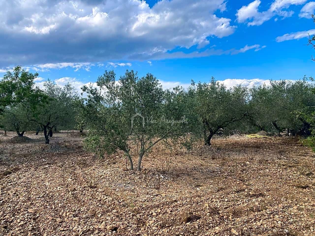 3 soveværelse Finca/Landehus til salg i El Perello med garage - € 195.000 (Ref: 8312709)