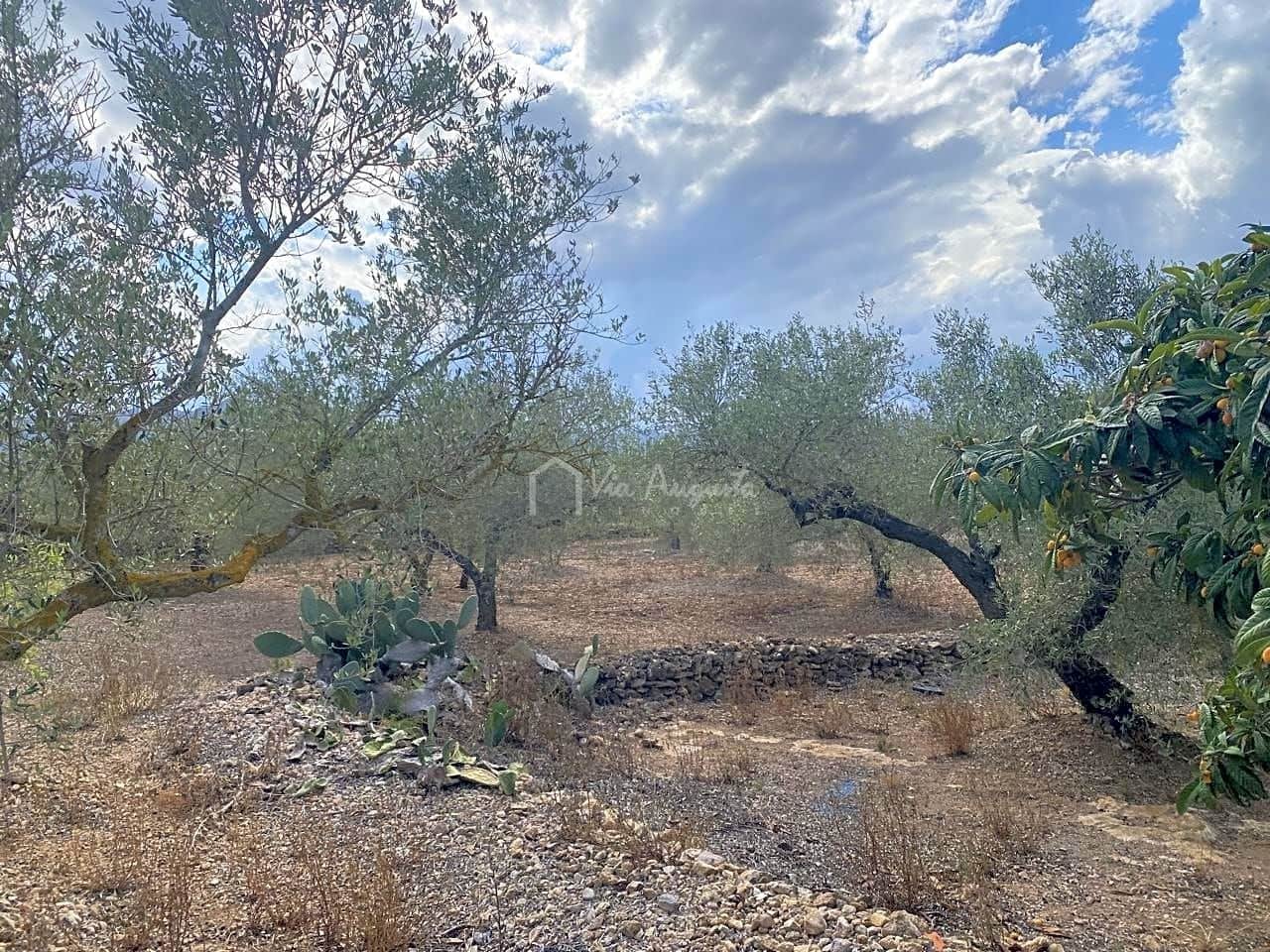 3 soveværelse Finca/Landehus til salg i El Perello med garage - € 195.000 (Ref: 8312709)