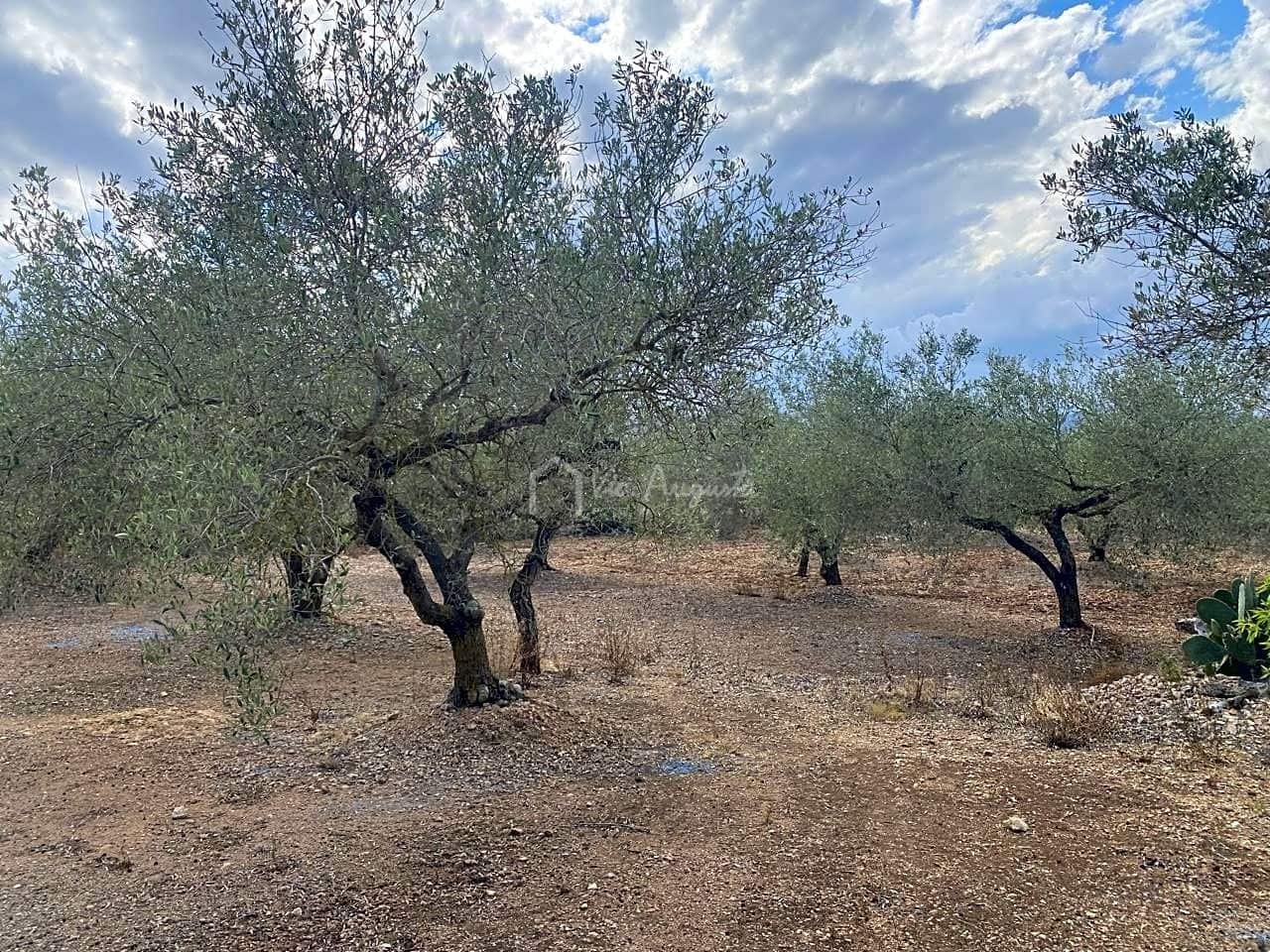 3 soveværelse Finca/Landehus til salg i El Perello med garage - € 195.000 (Ref: 8312709)