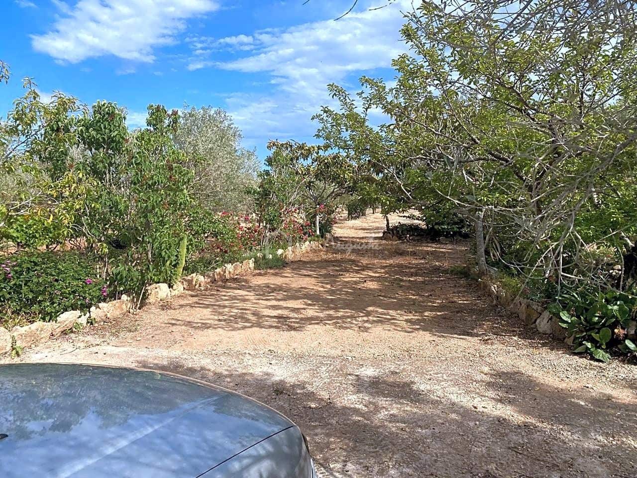 3 soveværelse Finca/Landehus til salg i El Perello med garage - € 195.000 (Ref: 8312709)