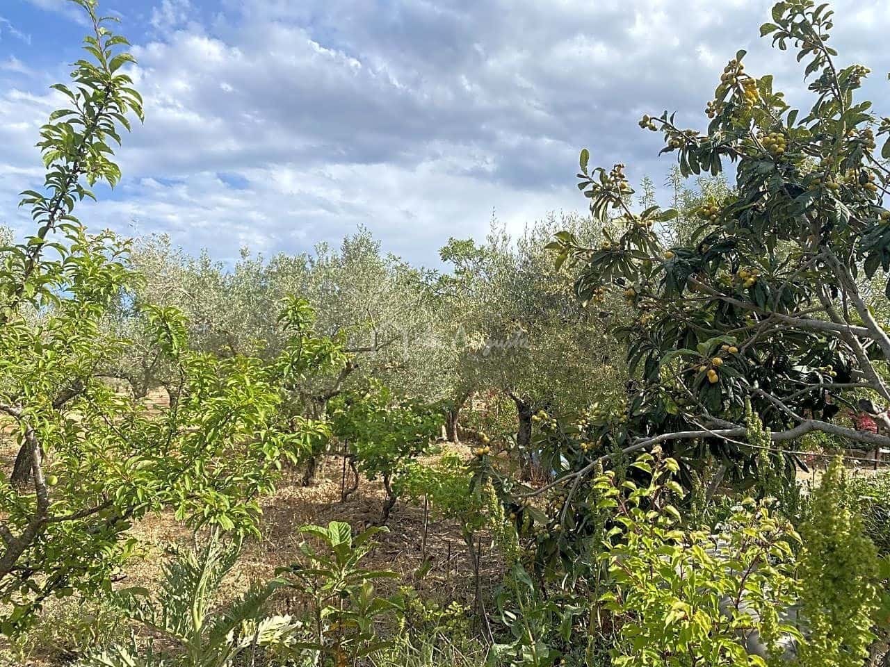 3 soveværelse Finca/Landehus til salg i El Perello med garage - € 195.000 (Ref: 8312709)