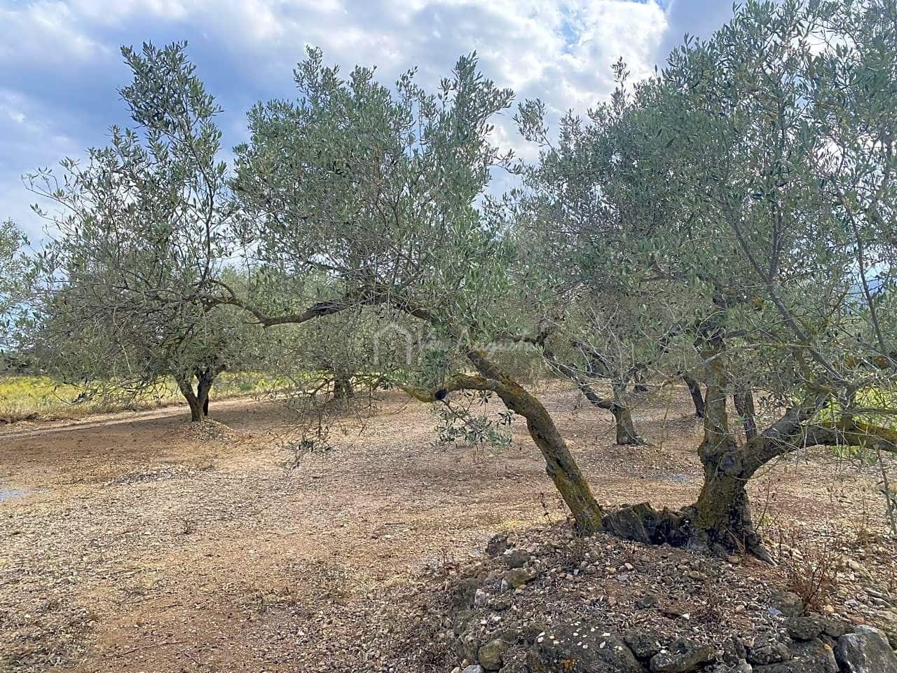 3 soveværelse Finca/Landehus til salg i El Perello med garage - € 195.000 (Ref: 8312709)