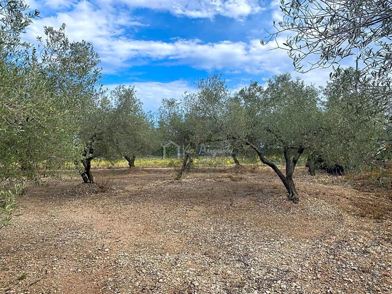 3 soveværelse Finca/Landehus til salg i El Perello med garage - € 195.000 (Ref: 8312709)