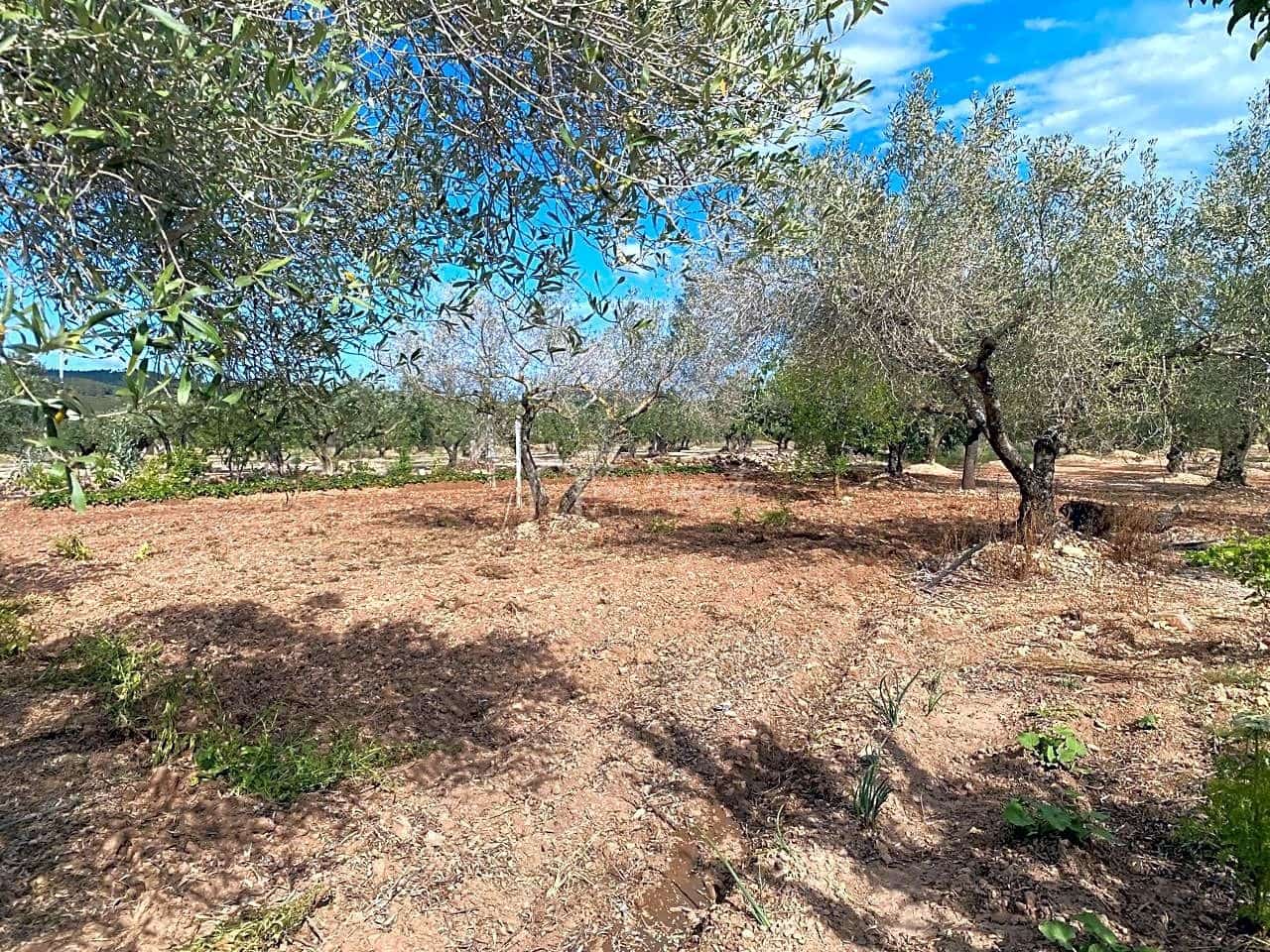 3 soveværelse Finca/Landehus til salg i El Perello med garage - € 195.000 (Ref: 8312709)