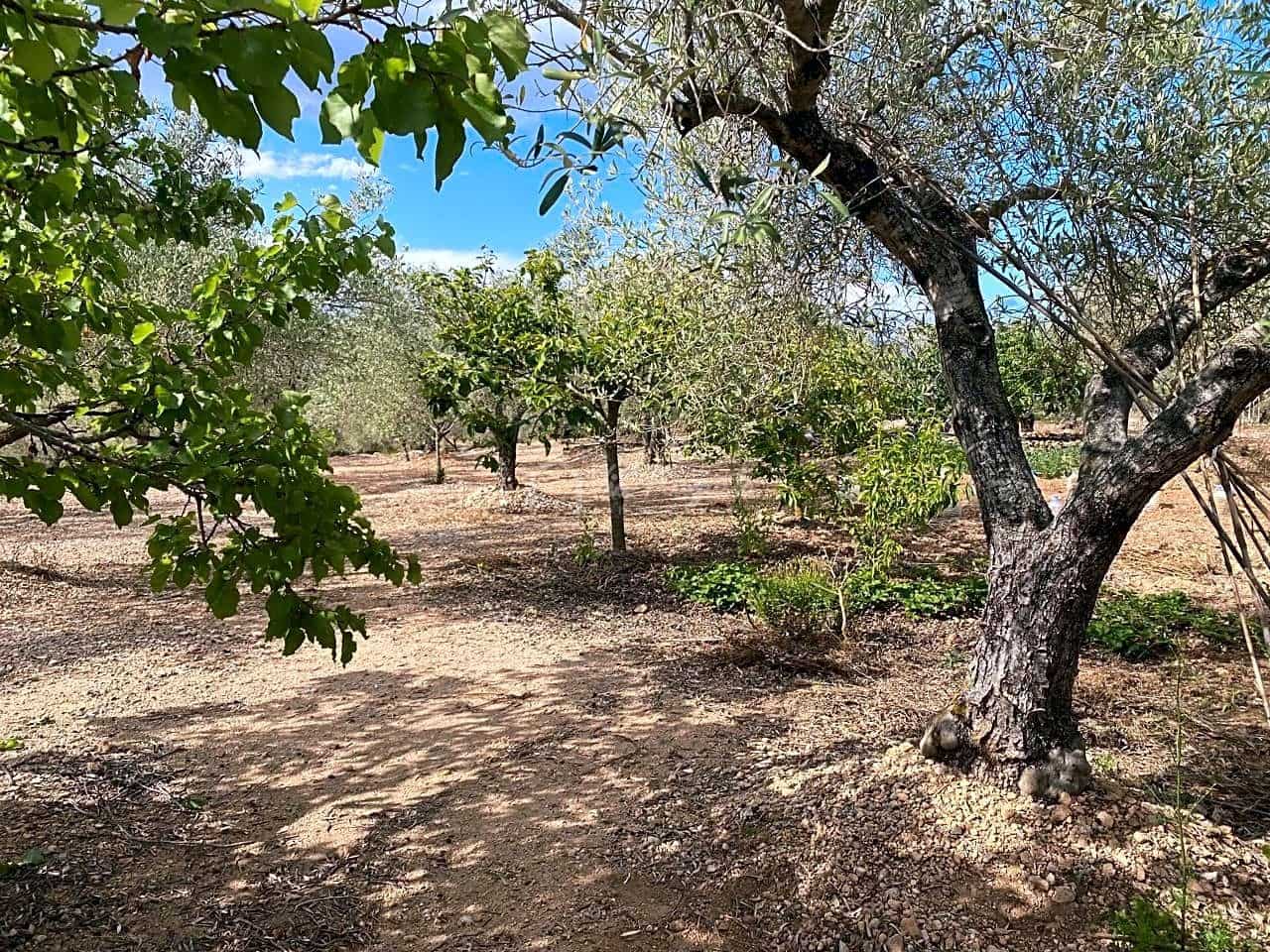 3 soveværelse Finca/Landehus til salg i El Perello med garage - € 195.000 (Ref: 8312709)