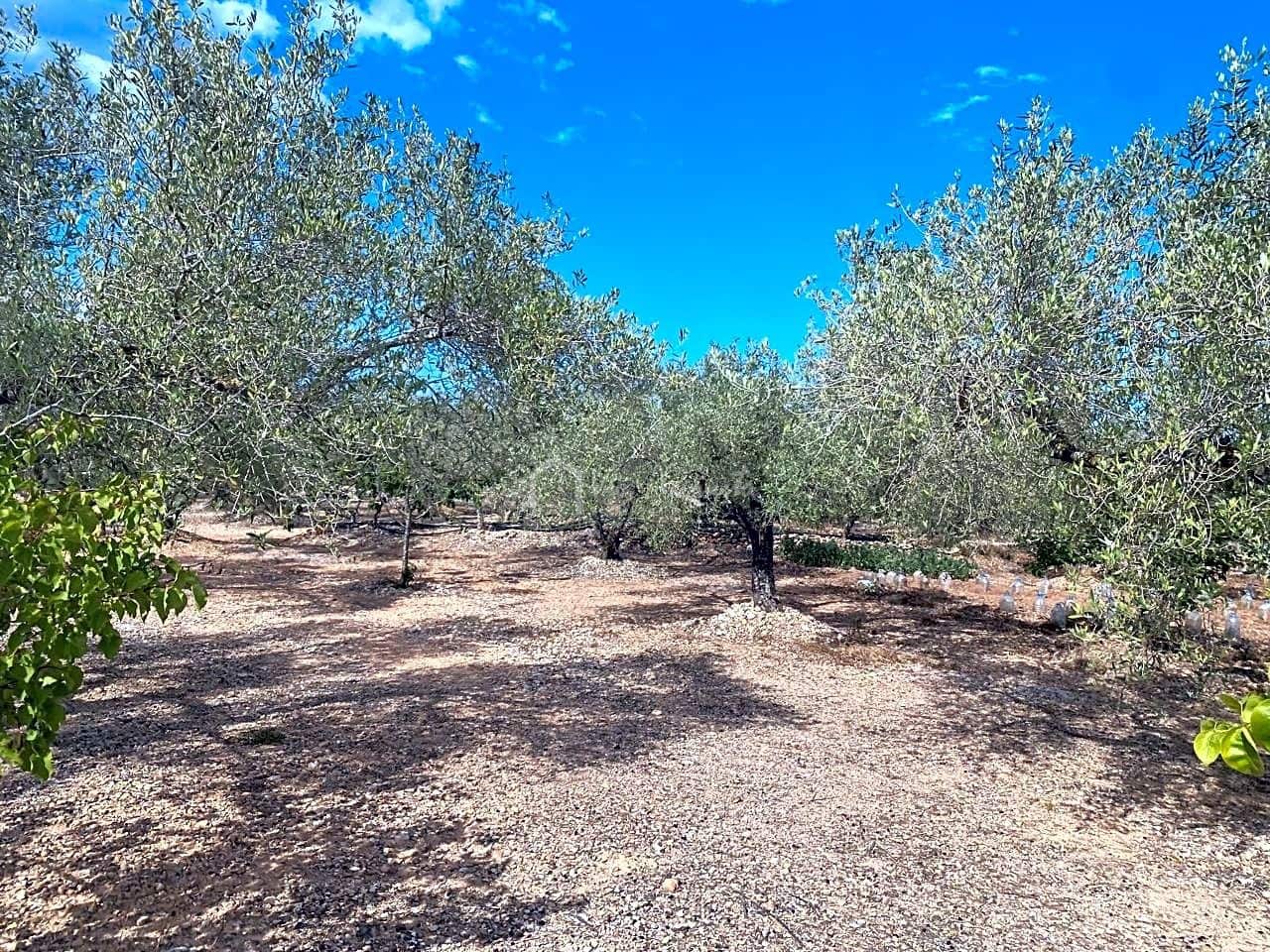 3 soveværelse Finca/Landehus til salg i El Perello med garage - € 195.000 (Ref: 8312709)